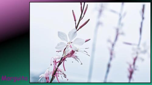 Excursie Bedrijventerrein de Laarberg