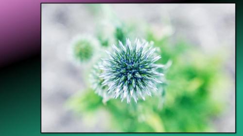 Excursie Bedrijventerrein de Laarberg