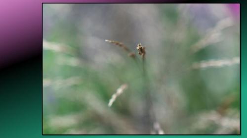 Excursie Bedrijventerrein de Laarberg