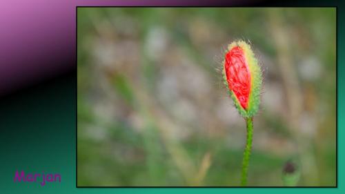 Excursie Bedrijventerrein de Laarberg