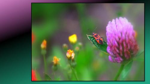 Excursie Bedrijventerrein de Laarberg