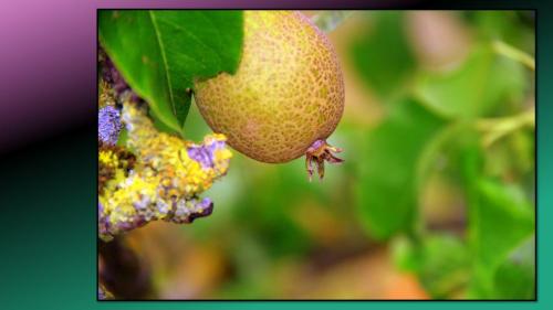 Excursie Bedrijventerrein de Laarberg