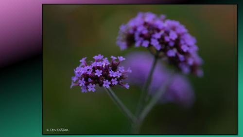 Excursie Bedrijventerrein de Laarberg