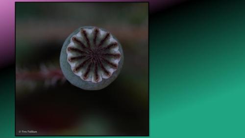 Excursie Bedrijventerrein de Laarberg