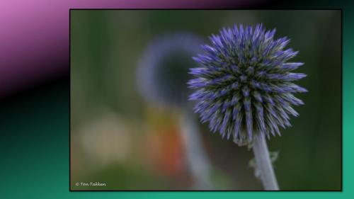 Excursie Bedrijventerrein de Laarberg