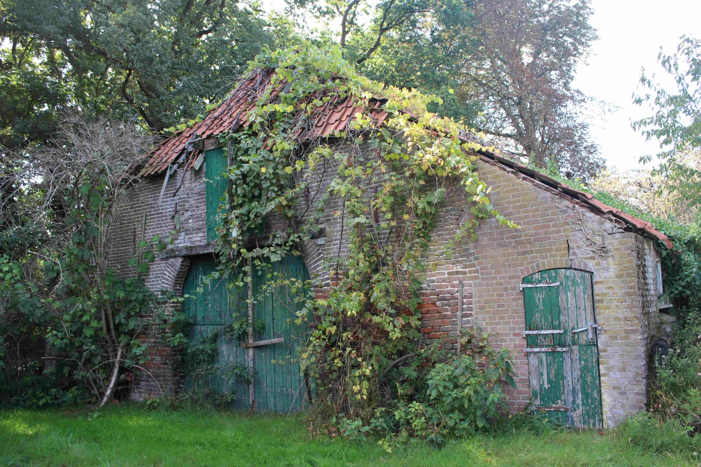 Oktober 2025, De Natuur neemt het over