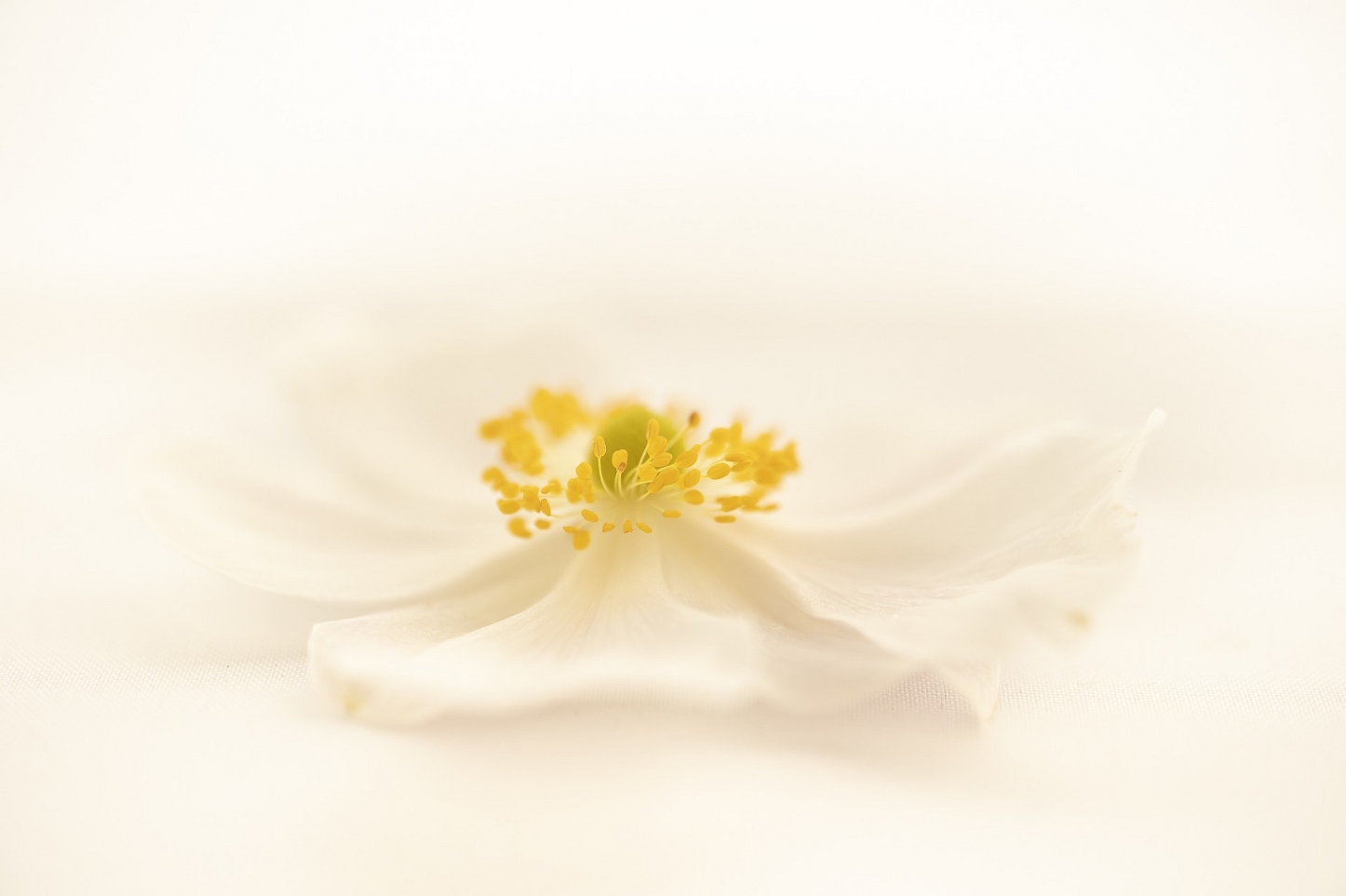 November, Low Key/High Key