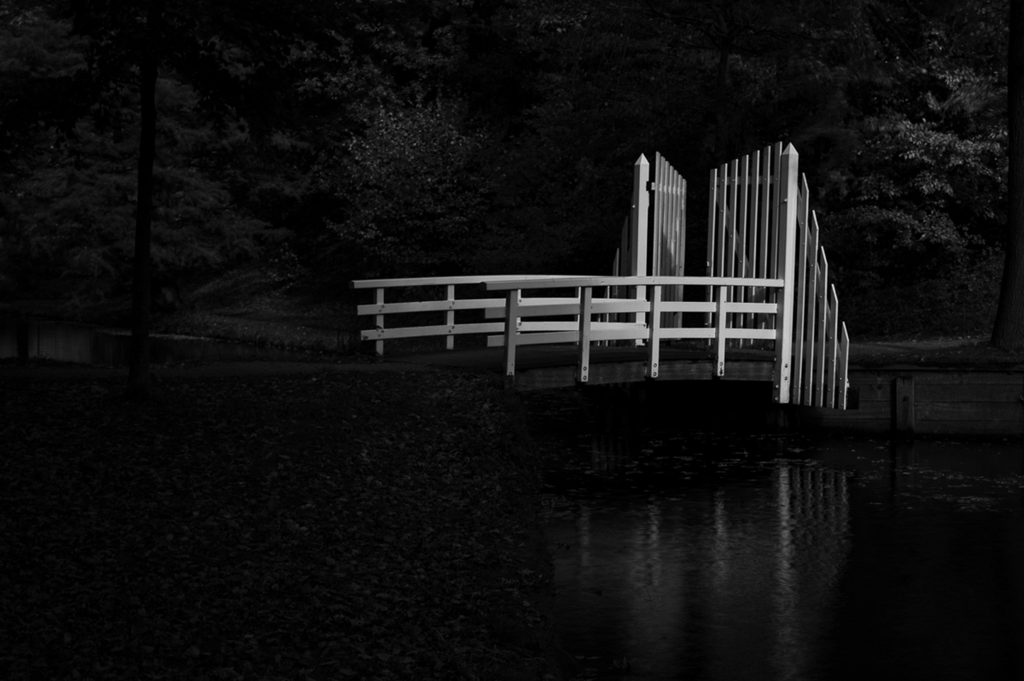 Judith ten Hietbrink