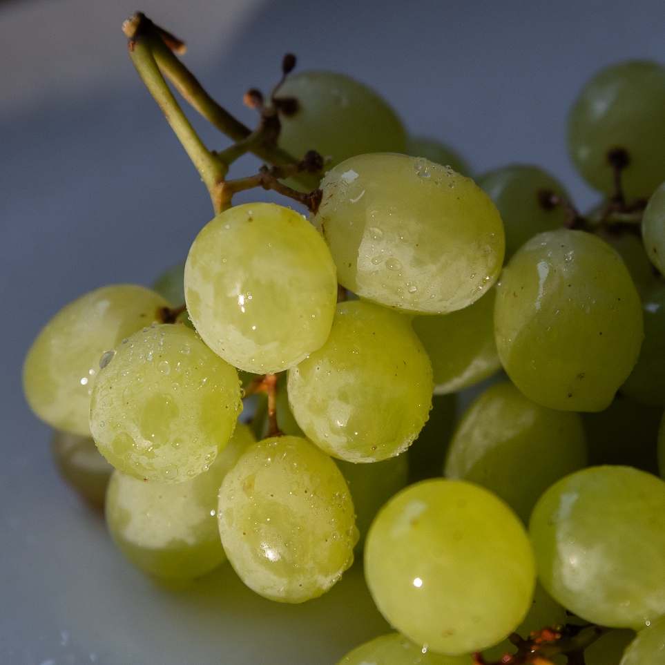 Judith ten Hietbrink