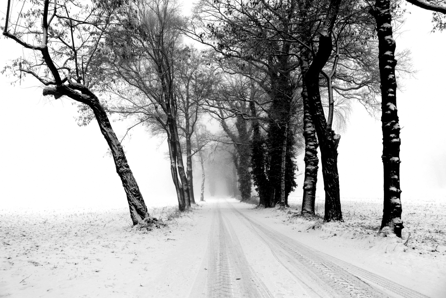 Februari 2026, Winterfoto