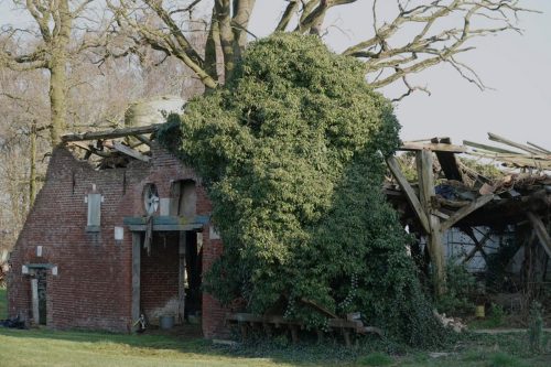 Jannie Nijhuis