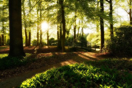 Mei 2026, Natuurfoto
