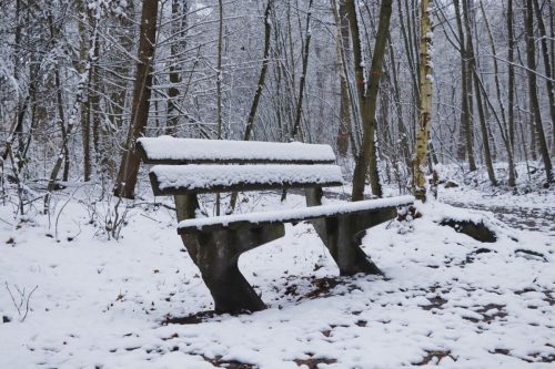 Jan Bussink, Sneeuwwandeling