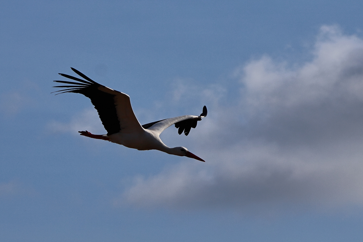 Natasja Klein Nulent