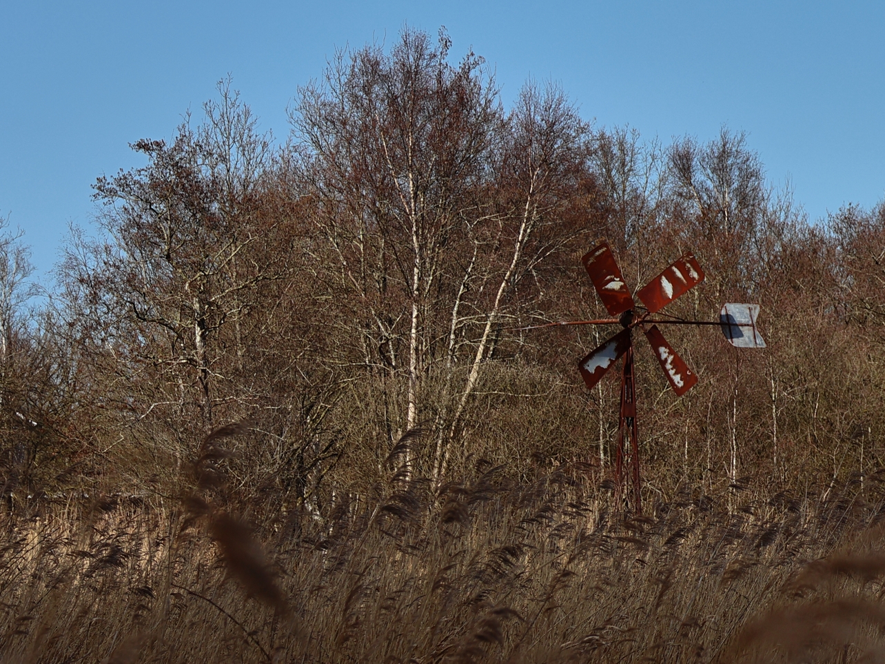 Natasja Klein Nulent