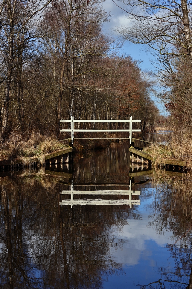 Natasja Klein Nulent