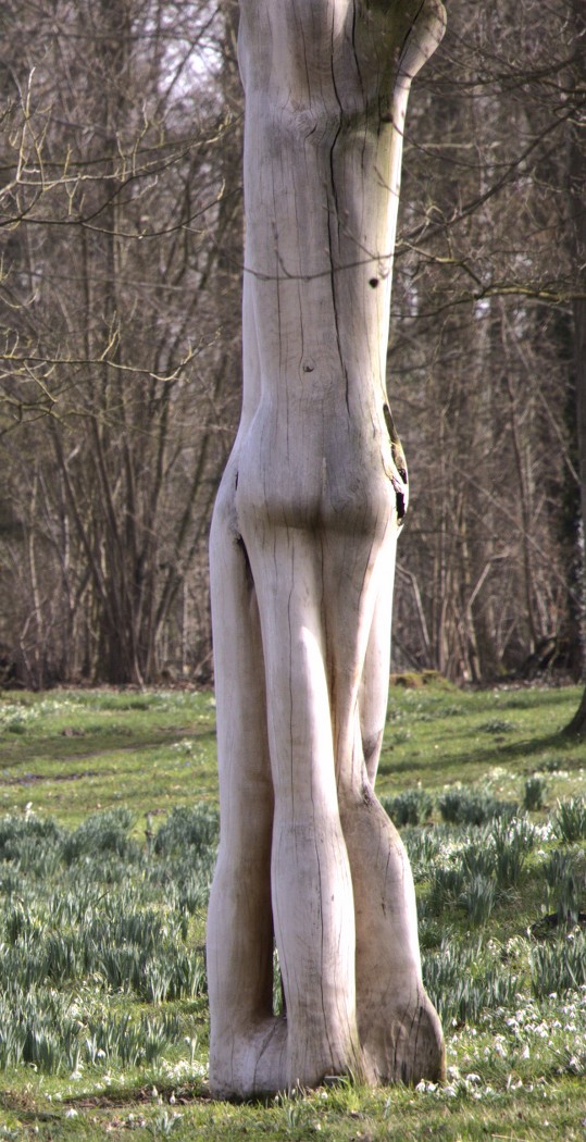Willem Brons