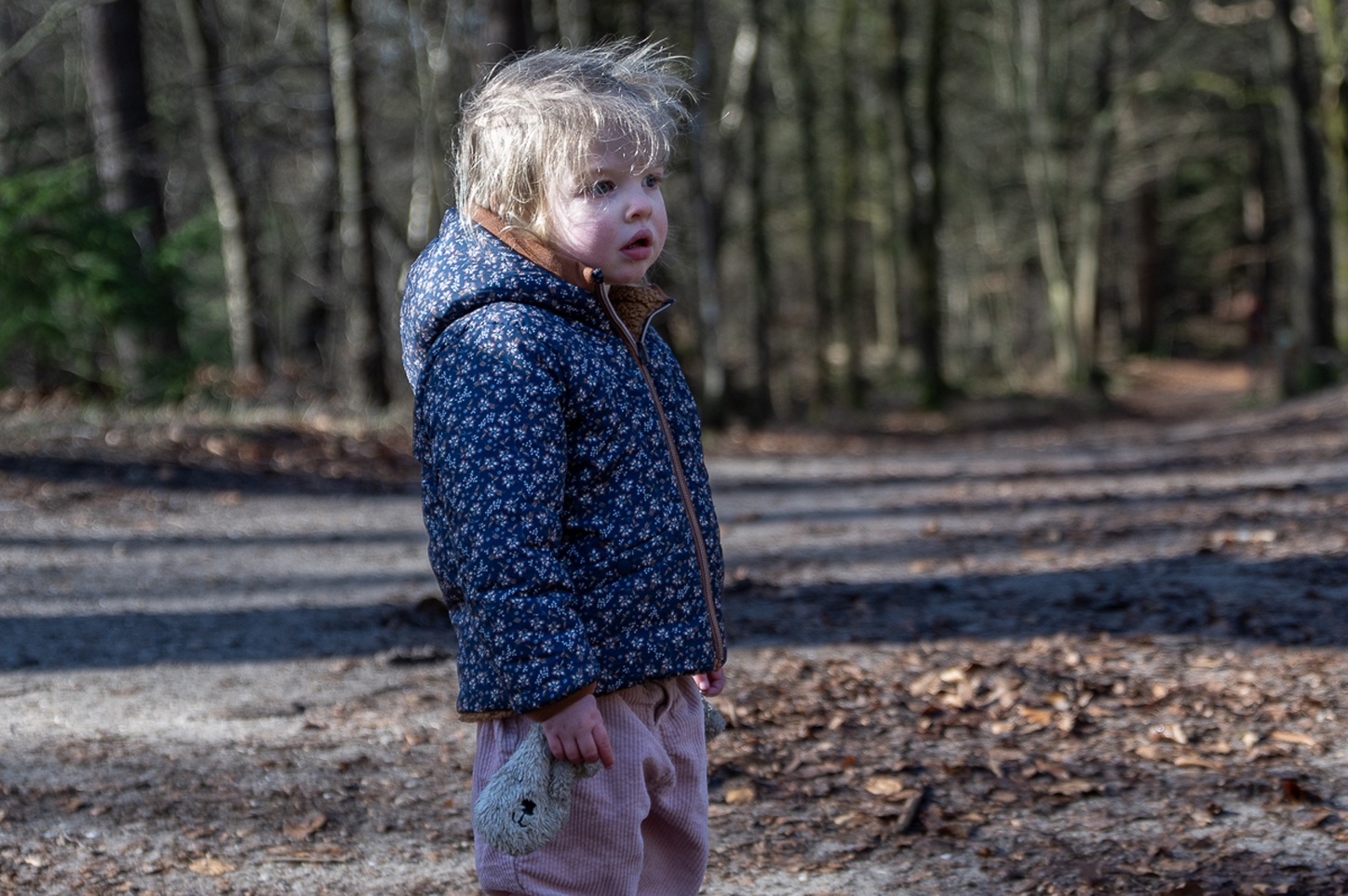 Judith ten Hietbrink