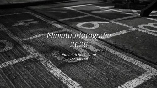 Miniatuurfotografie
