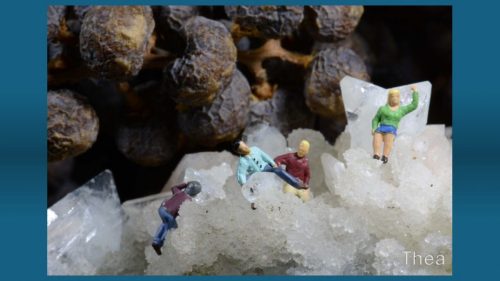 Miniatuurfotografie