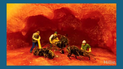 Miniatuurfotografie