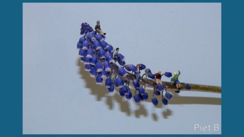 Miniatuurfotografie