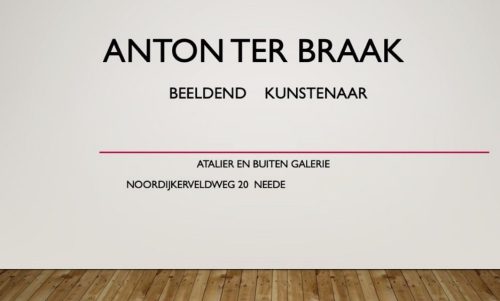 Anton ter Braak, beeldend kunstenaar
